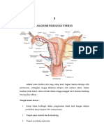 Otot-Otot Uterus No. 3