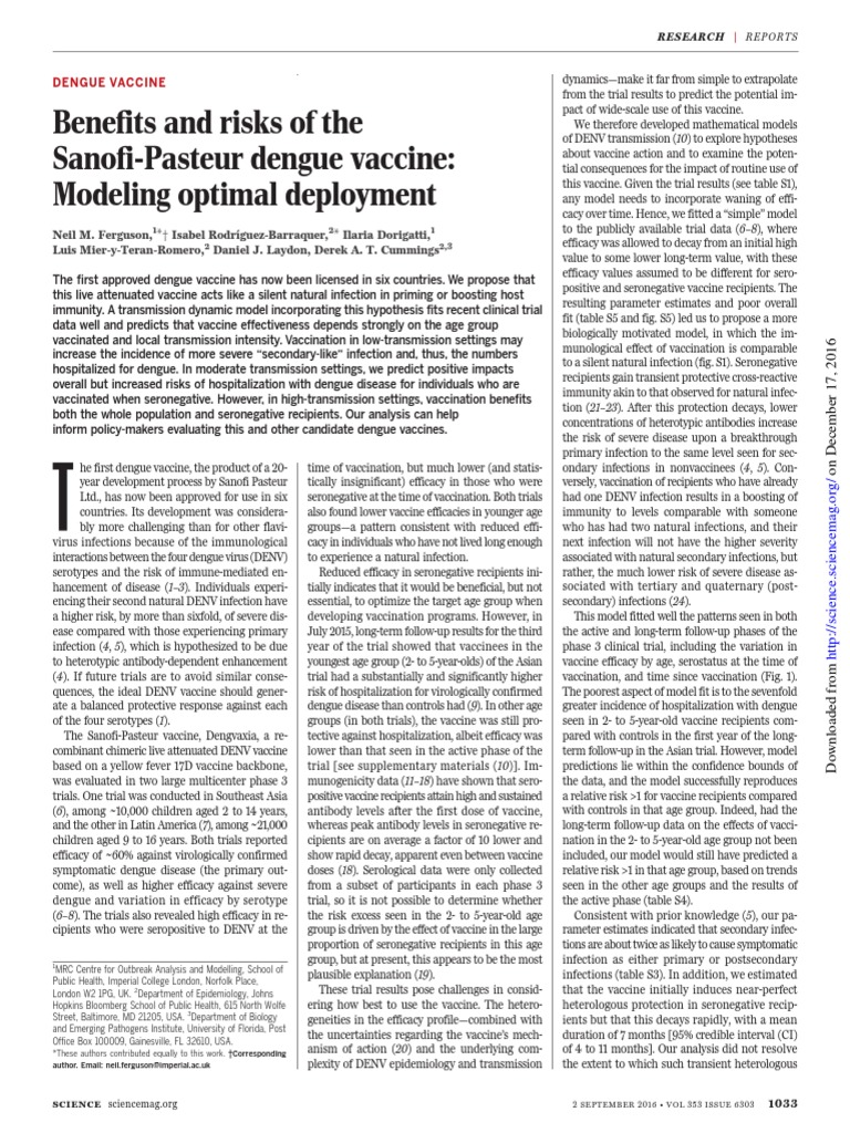 essay on dengue