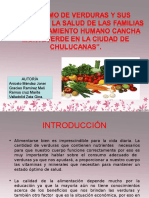 Proyecto Investigacion de Verduras