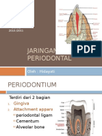 ANATOMI Periodontal