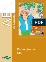ABC-como Plantar Caju