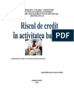 documents.tips_riscul-de-credit-in-activitatea-bancara.doc