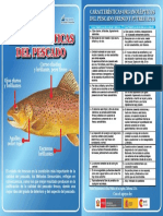 2a-Cartilla CaracteristicasdelPescado-a-emb PDF