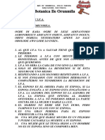 Despertar de Ifa PDF