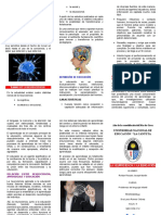 Triptico Neurociencia y Educacion