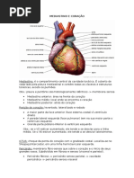 3-mediastino e coração.docx