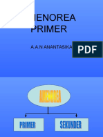 Amenore Primer