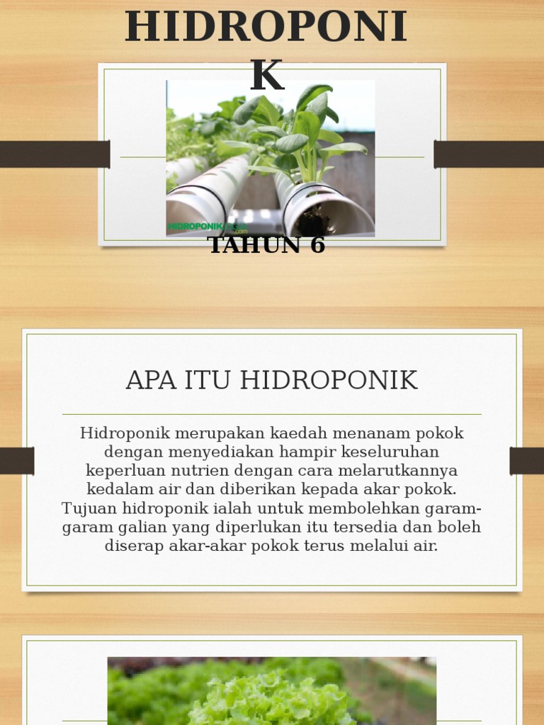 HIDROPONIK