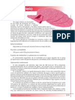 Composición Nutricional Mortadela PDF