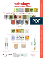 Parasitology Poster 2010