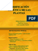 Biotecnologia Vegetal