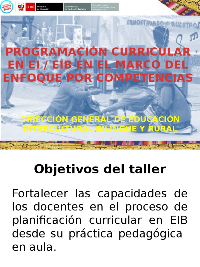 Planificación Curricular EIB por Competencias | PDF | Plan de estudios ...