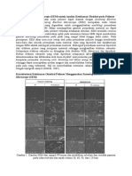 SEM Oxid Resistant