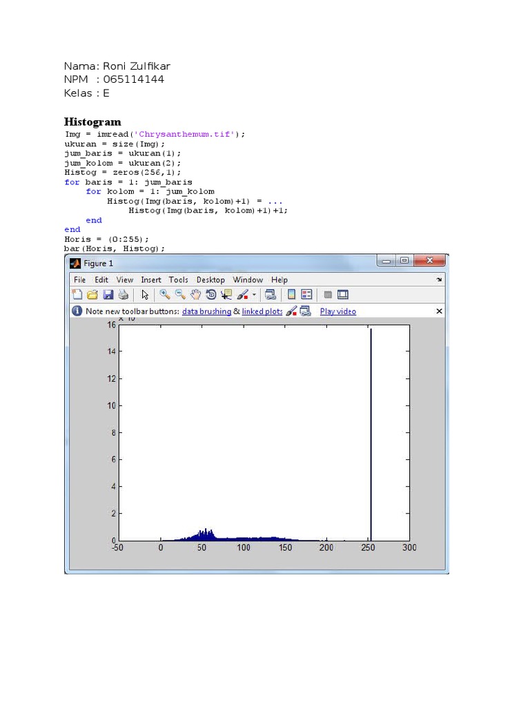 Histogram and Equalization in MATLAB | PDF