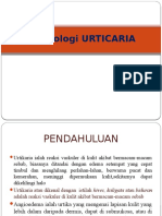 patofisiologi URTIKARIA.pptx