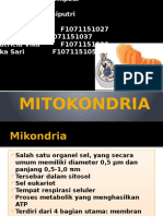 5 Mitokondria