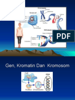 Gen Dan Kromatin Dan Kromosom
