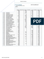 Government Budget Execution Report