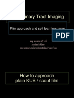 The Urinary Tract Imaging Film Approach and Self Learning 2010
