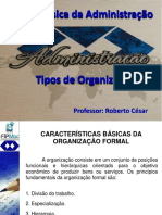TIPOS DE ORGANIZAÇÃO.pdf