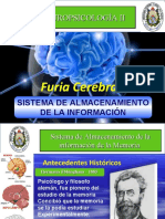 Neuropsicologia II - Furia Cerebral- Sistema de Almacenamien