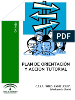 Plan Orientacion y Accion Tutorial