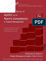 PM Agility Global Survey PMI Executive Report v10 PDF