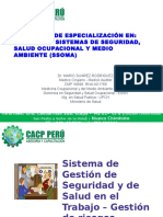 Sistema_de_Gestión_de_Seguridad_y_de_Salud_en_el_Trabajo__Gestión_de_riesgos.pptx