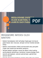 Patofisiologi Infeksi Oleh Bakteri Virus Jamur