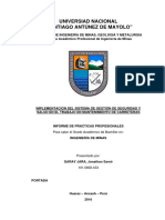 Informe de Prácticas Profesionales.pdf