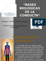 basesbiologicasdelaconducta-RESUMEN