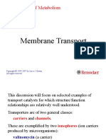 Membrane Transport: Biochemistry of Metabolism