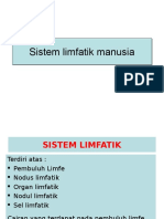 Sistem Limfatik Manusia