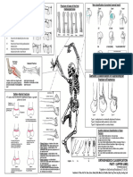 orthopedics essentials.pdf