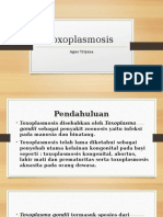 Toxoplasmosis ppt.ppt
