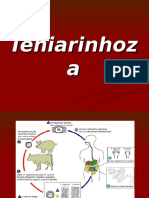 Beef and Pork Tapeworm Life Cycles and Diagnosis