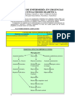 cetoacidosis-diabetica.pdf