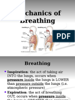 05 Mechanics of Breathing
