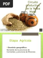 Circuito Productivo Del Trigo - Geografía | PDF | Trigo | Harina