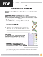 Building Dna