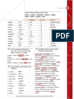 Scheda22 Il Verbo Soluzioni