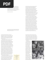 TACCA, Fernando de Fotolivros e Antropologia Visual