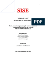 Trabajo Mermelada de Aguaymanto - SISE.pdf