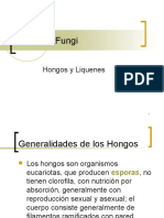 Reino Fungi - PPT (Fisiologia)