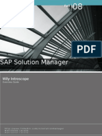 Sap Solution Manager - introscope overview guide