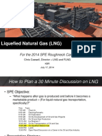 On_LNG_And_FLNG.pdf