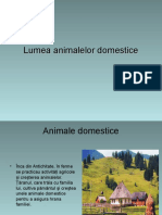 Lumea Animalelor Domestice