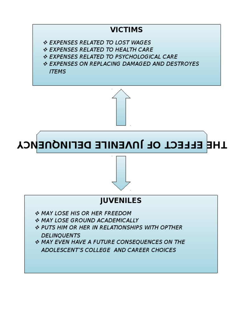 Graphic Organizer in The Effect of Juvenile Delinquency PDF