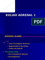 Adrenal 1