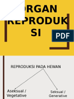 Organ Reproduksi